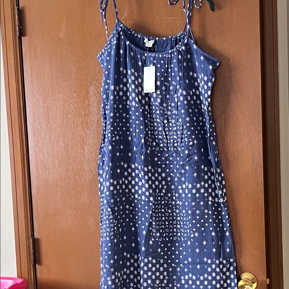 Splendid Blue and White Maxi Dress